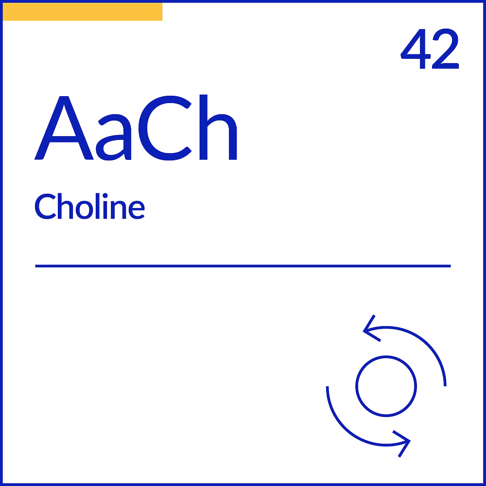 Choline at MyBest Clinic